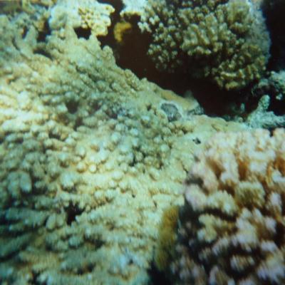Dsc05229