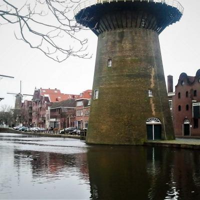 Roterdam