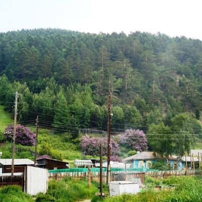 Dsc07139