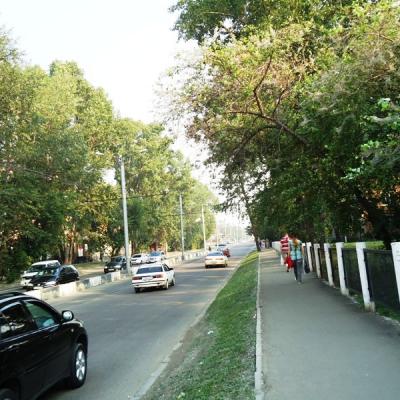Dsc07249