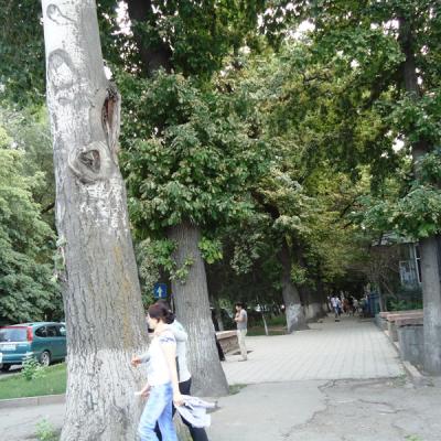 Dsc04764
