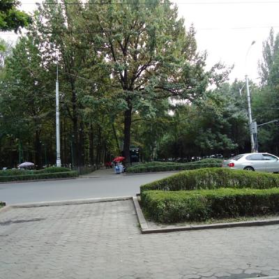 Dsc04769