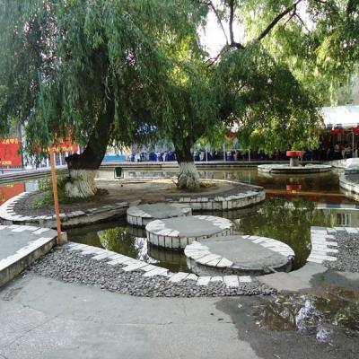 Dsc04800