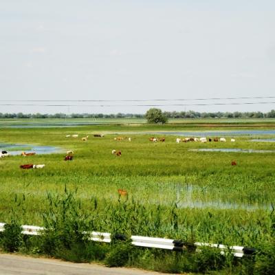Dsc03696